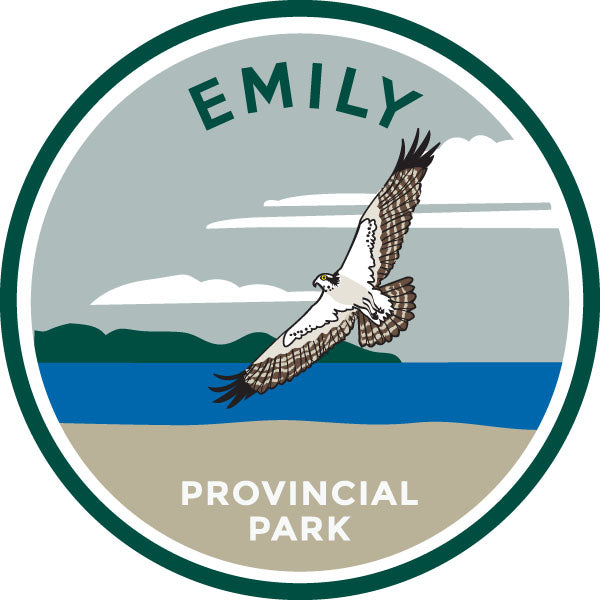 Broche des parcs - Emily