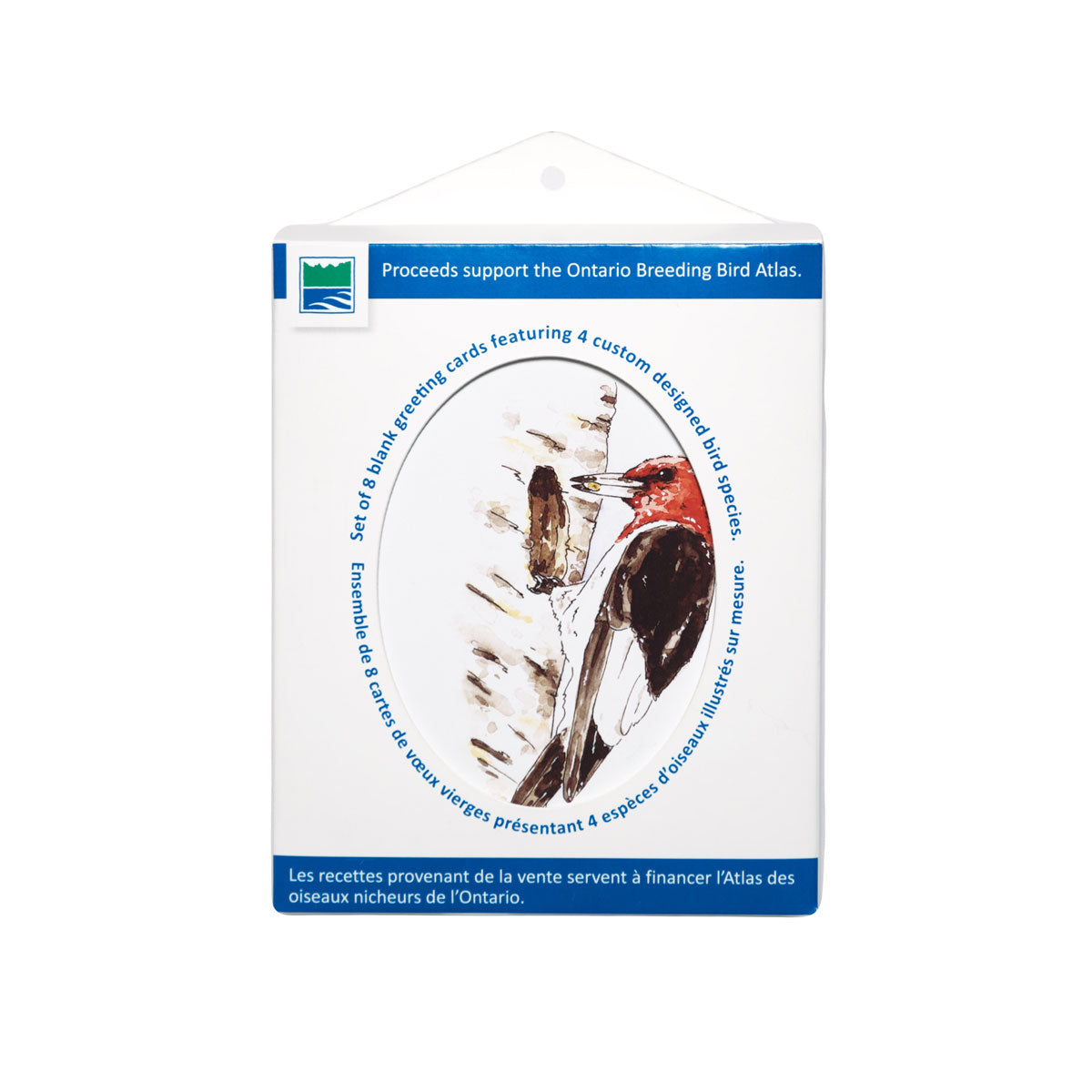 Ontario Parks greeting card set in packaging. Blue and white box with peek-a-boo window showing a red-headed woodpecker on the front of a card.
