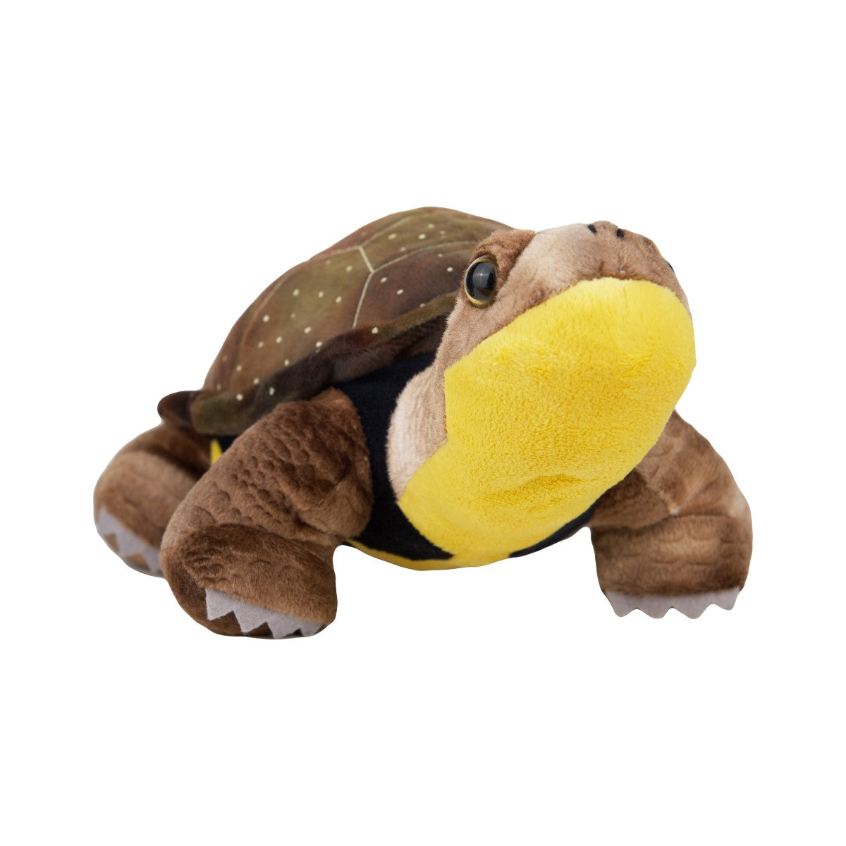 Blanding's Turtle Plush stuffed animal, with yellow underside and brown shell. 